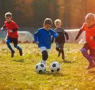 焦点对决,博洛尼亚迎,战克雷莫内,AG真人,AG真人官网,AG真人平台